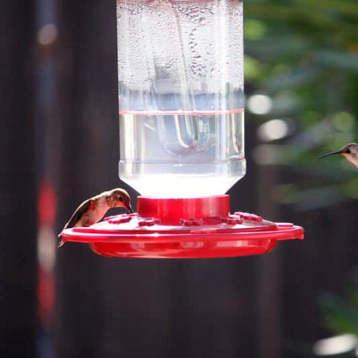 First Nature 32oz. Hummingbird Feeder